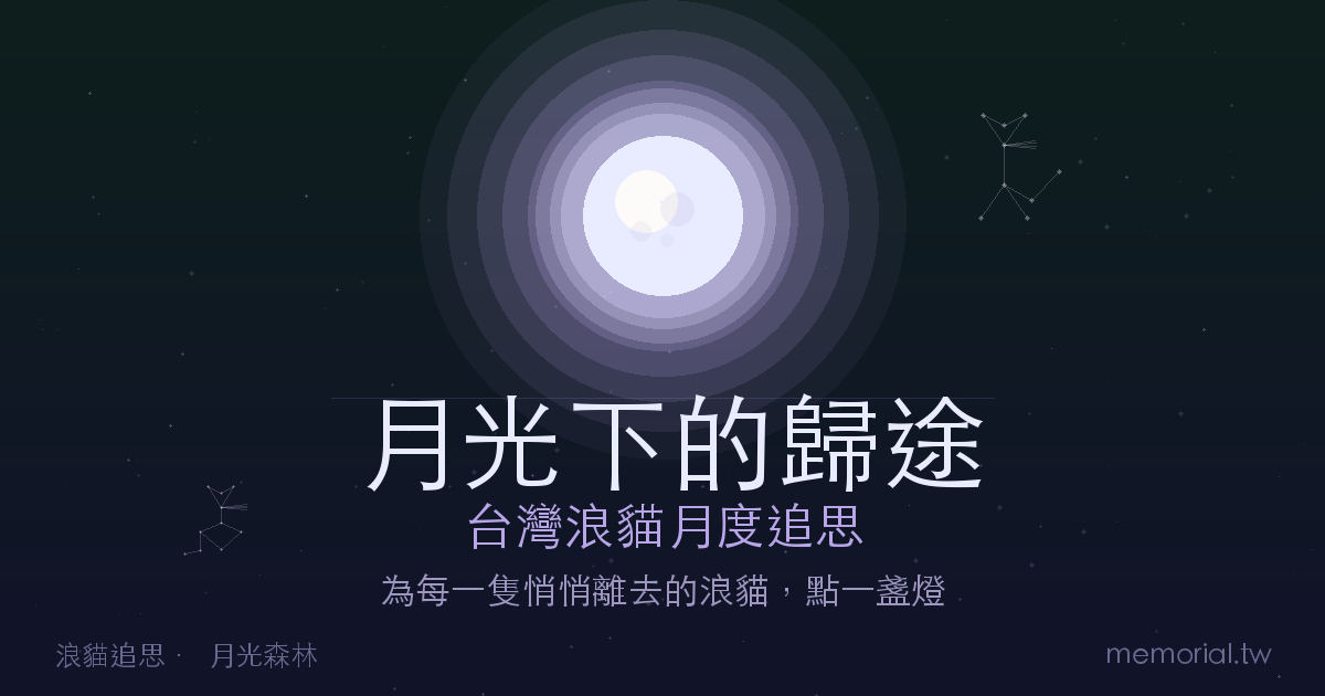 浪貓追思